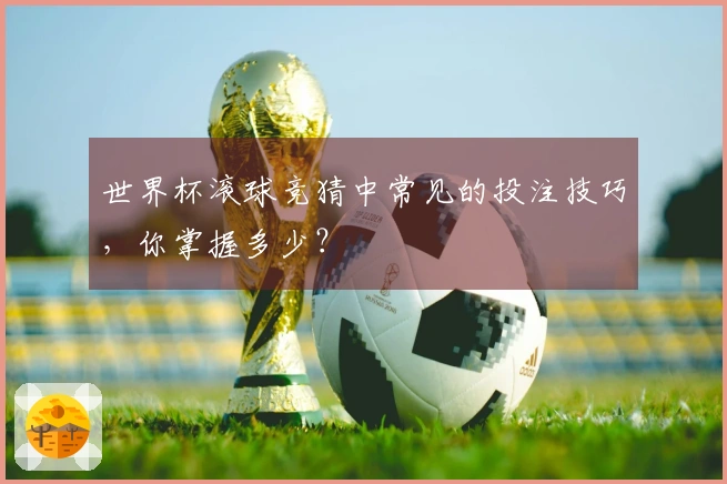 世界杯滚球竞猜中常见的投注技巧，你掌握多少？