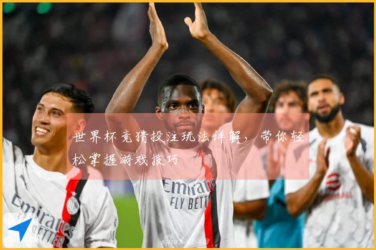 世界杯竞猜投注玩法详解，带你轻松掌握游戏技巧