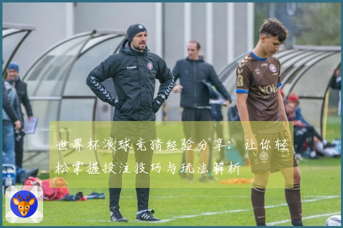 世界杯滚球竞猜经验分享：让你轻松掌握投注技巧与玩法解析