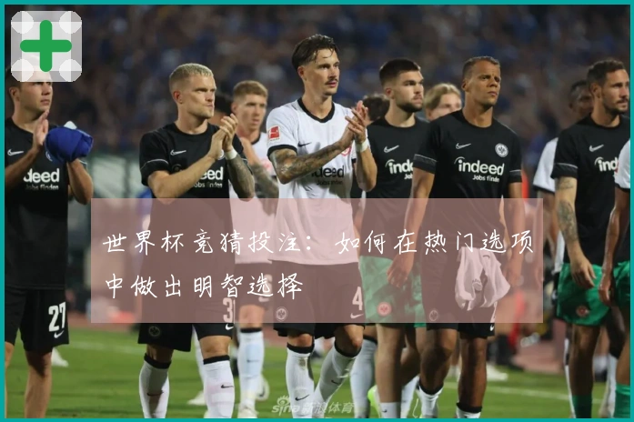 世界杯竞猜投注：如何在热门选项中做出明智选择