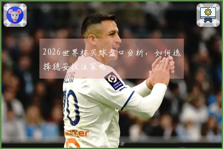 2026世界杯买球盘口分析，如何选择稳妥投注策略