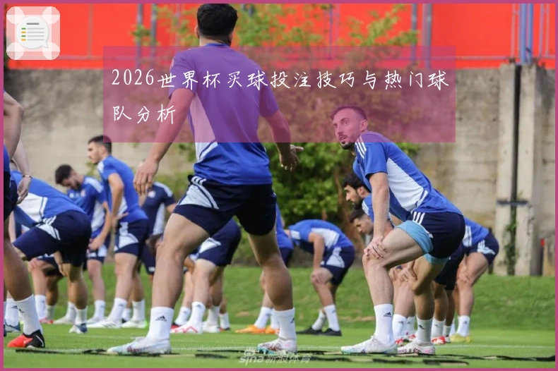 2026世界杯买球投注技巧与热门球队分析