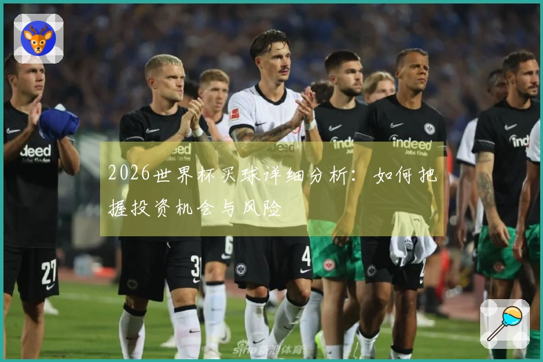 2026世界杯买球详细分析：如何把握投资机会与风险