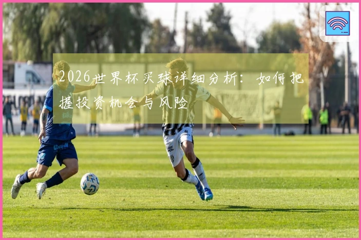 2026世界杯买球详细分析：如何把握投资机会与风险