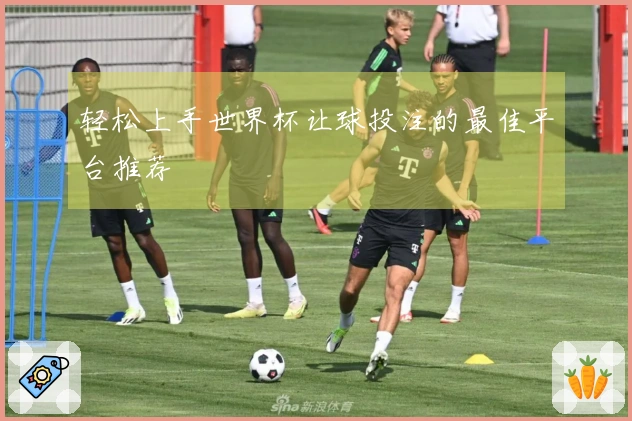 轻松上手世界杯让球投注的最佳平台推荐