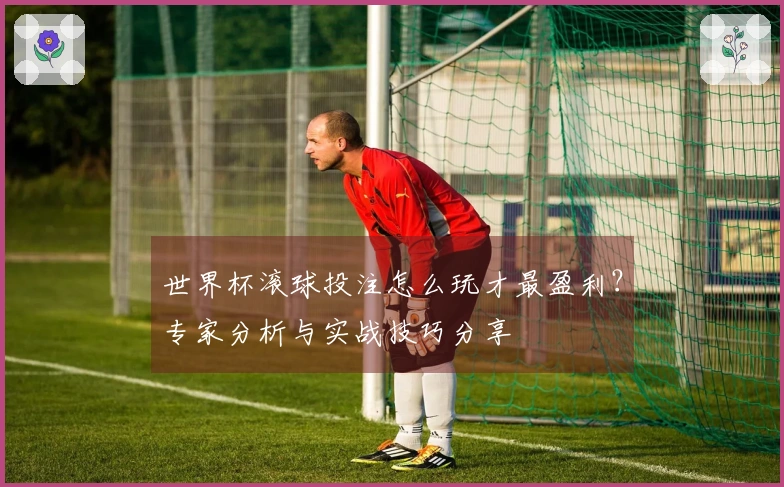 世界杯滚球投注怎么玩才最盈利？专家分析与实战技巧分享