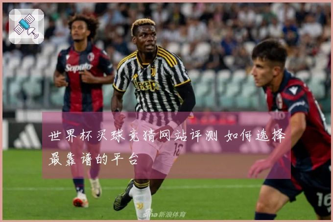 世界杯买球竞猜网站评测 如何选择最靠谱的平台