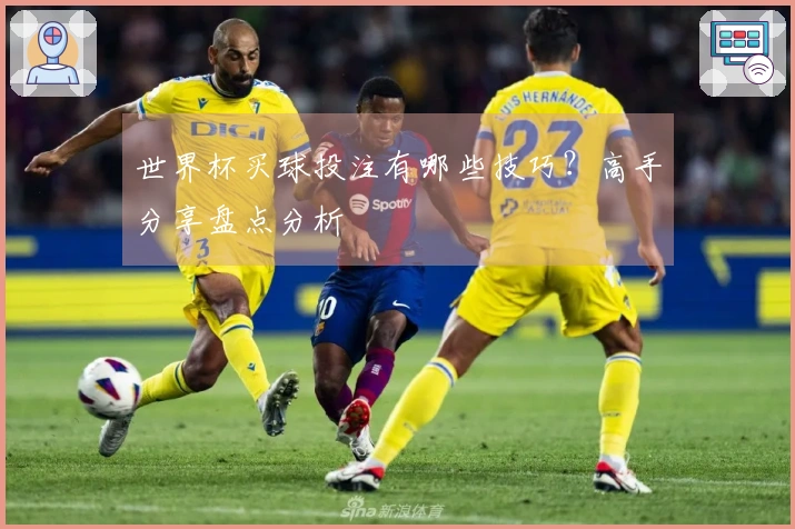 世界杯买球投注有哪些技巧？高手分享盘点分析