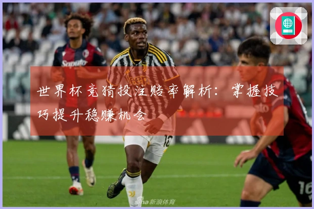 世界杯竞猜投注赔率解析：掌握技巧提升稳赚机会