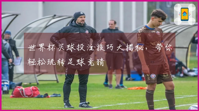 世界杯买球投注技巧大揭秘，带你轻松玩转足球竞猜