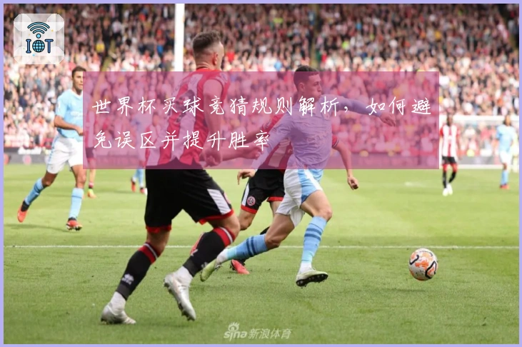 世界杯买球竞猜规则解析，如何避免误区并提升胜率