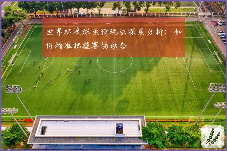 世界杯滚球竞猜玩法深度分析：如何精准把握赛场动态