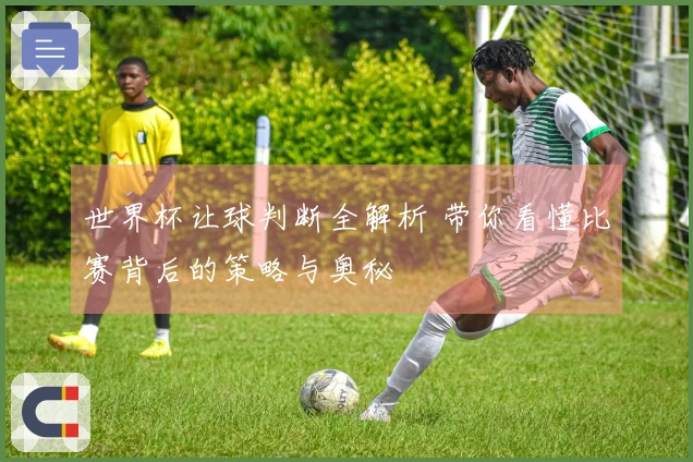 世界杯让球判断全解析 带你看懂比赛背后的策略与奥秘