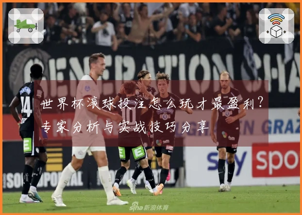 世界杯滚球投注怎么玩才最盈利？专家分析与实战技巧分享